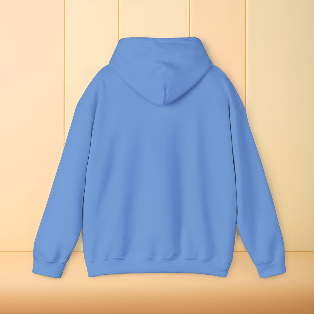 All I brought was Vibes Hoodie