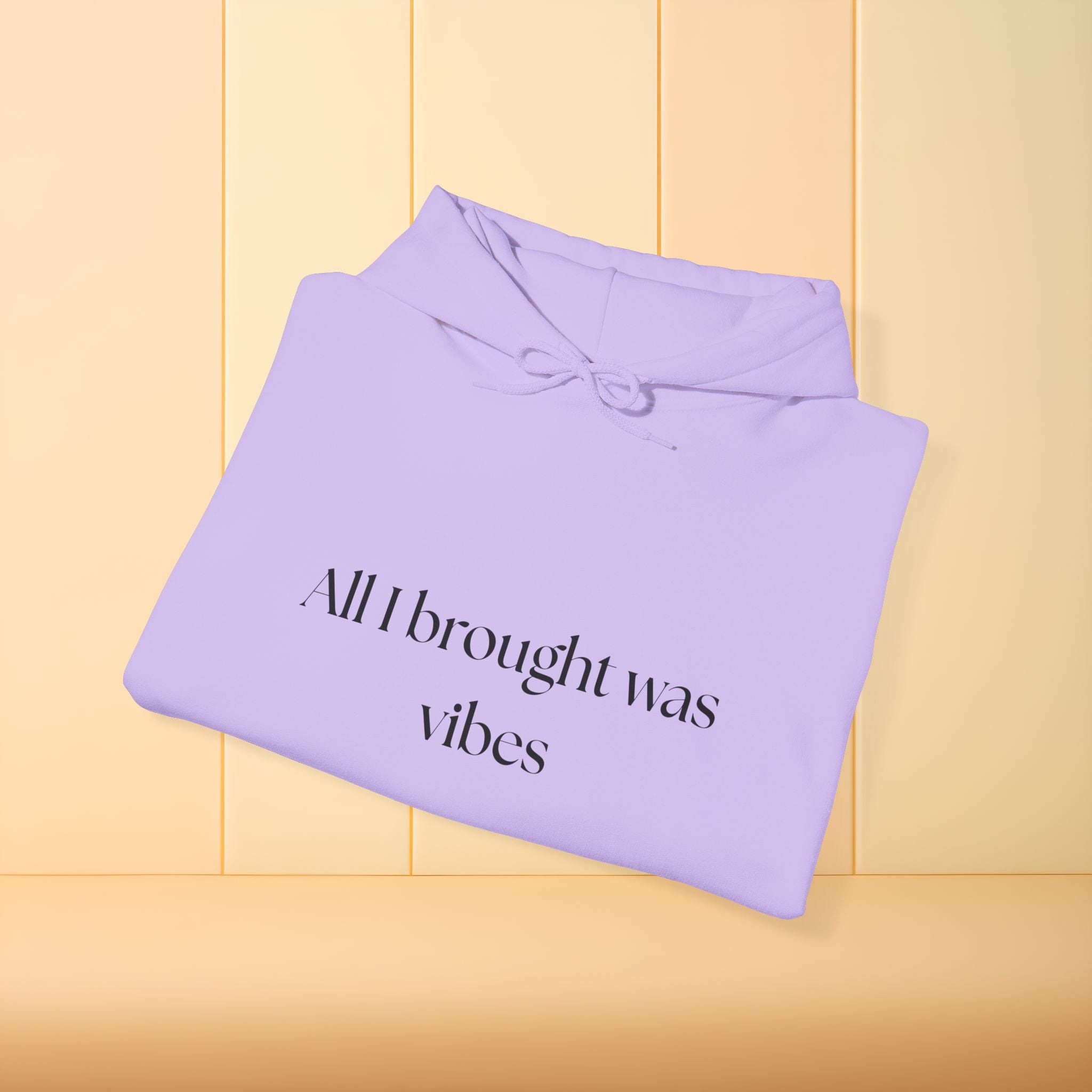All I brought was Vibes Hoodie