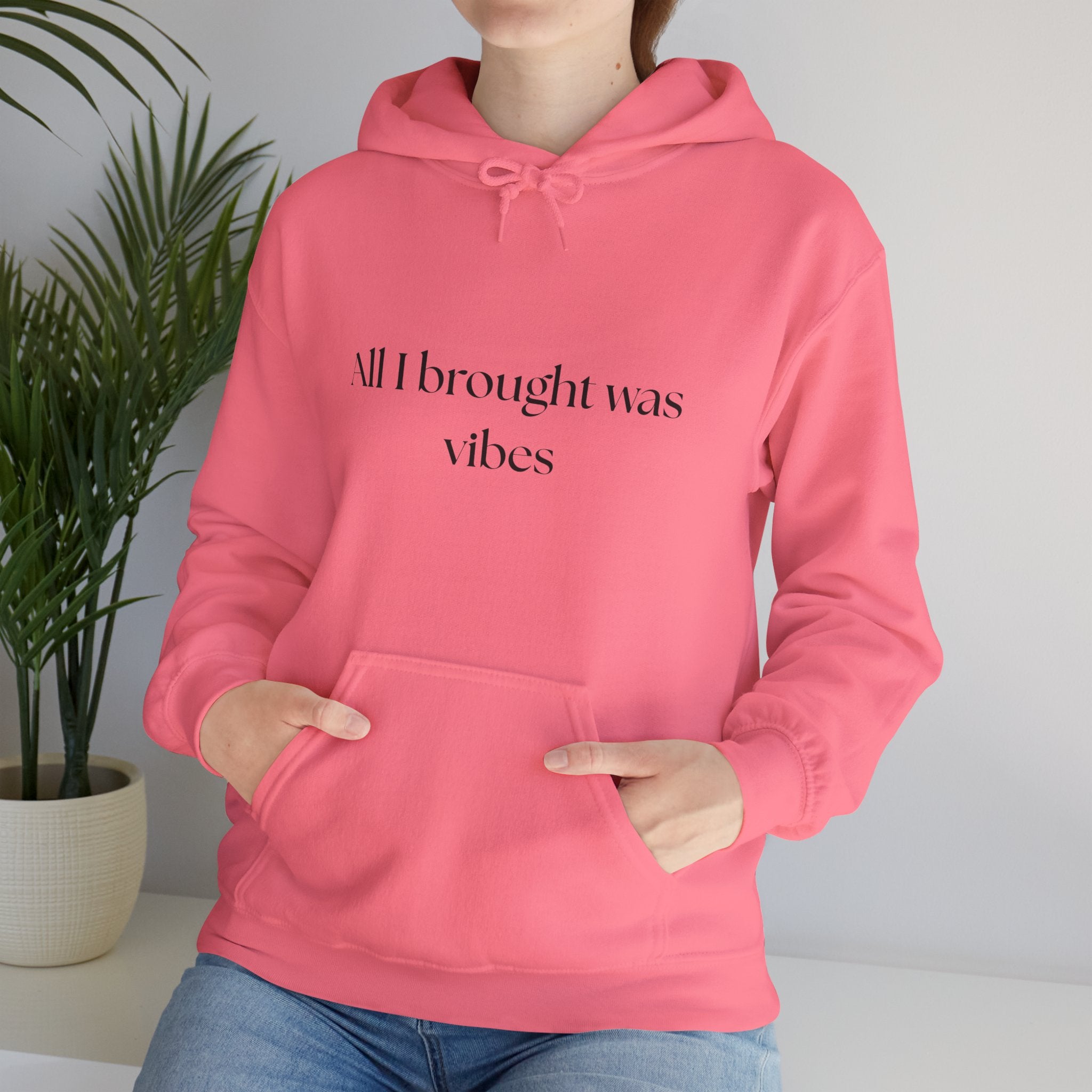 All I brought was Vibes Hoodie