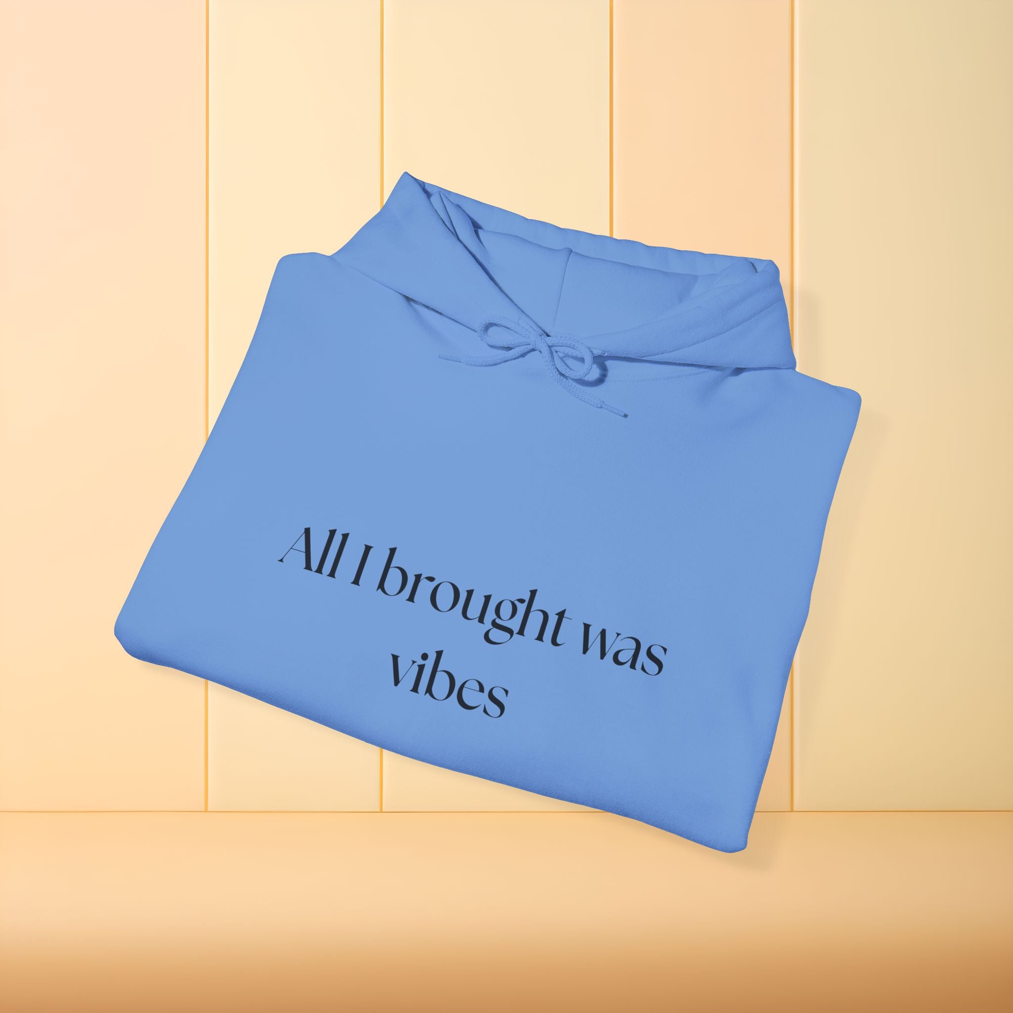 All I brought was Vibes Hoodie