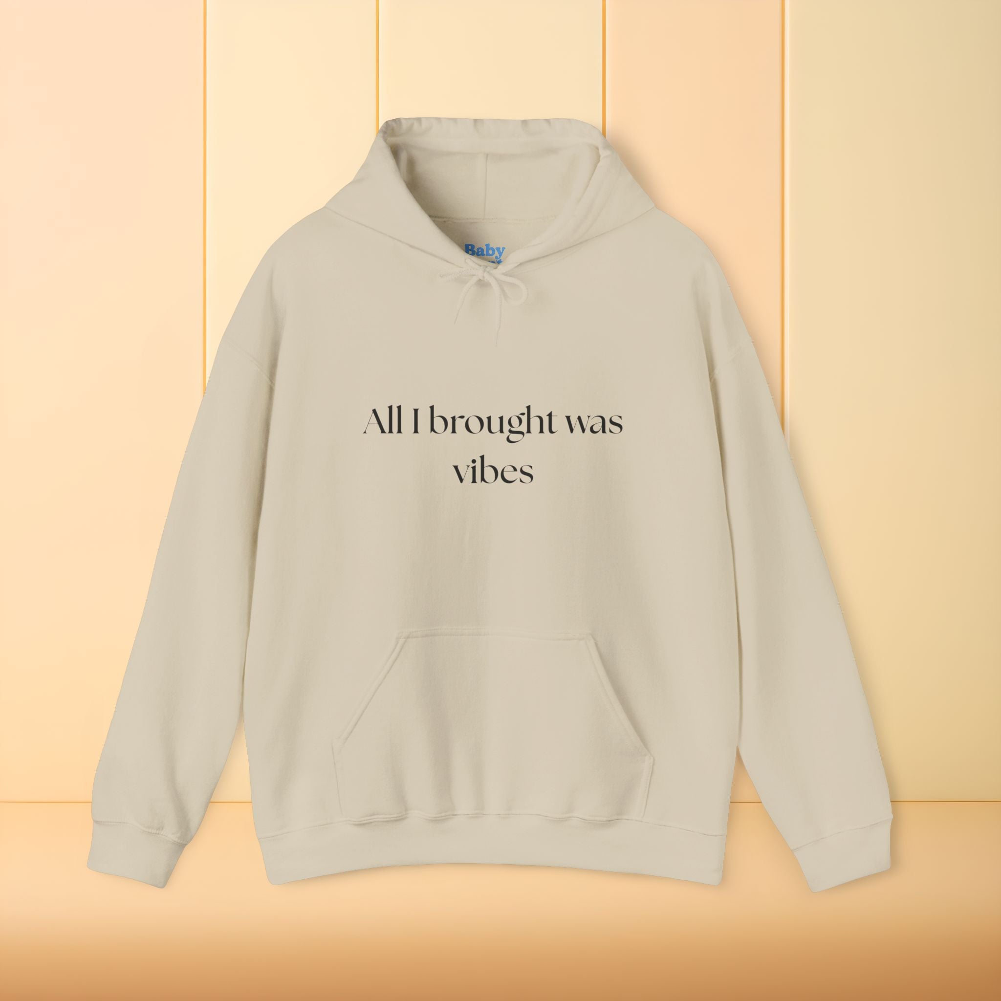 All I brought was Vibes Hoodie