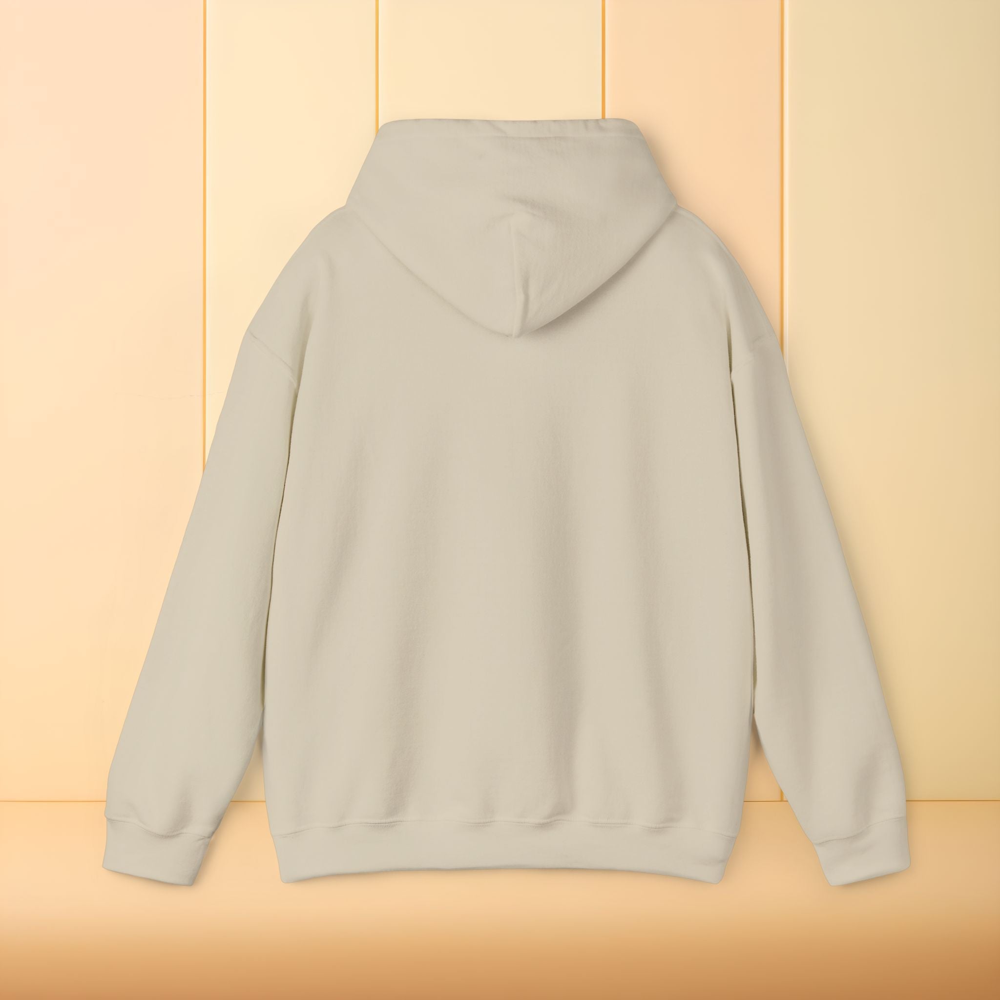 All I brought was Vibes Hoodie