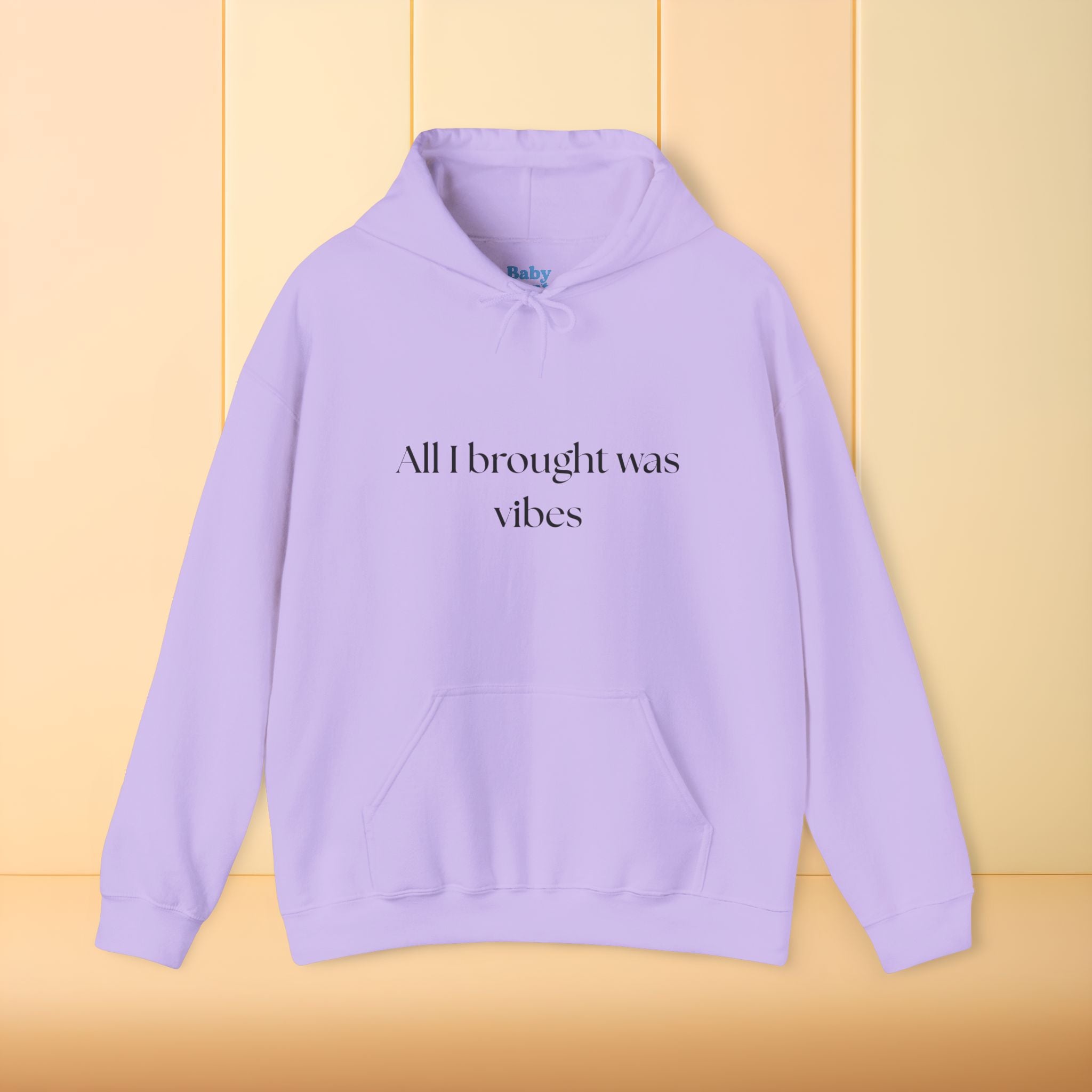 All I brought was Vibes Hoodie