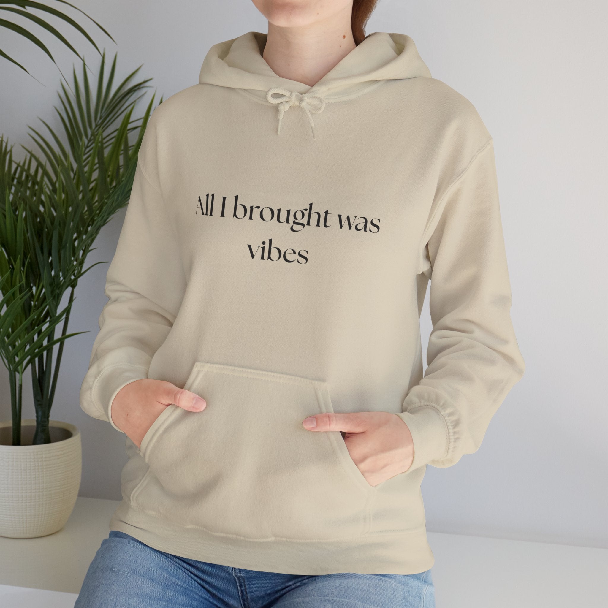 All I brought was Vibes Hoodie