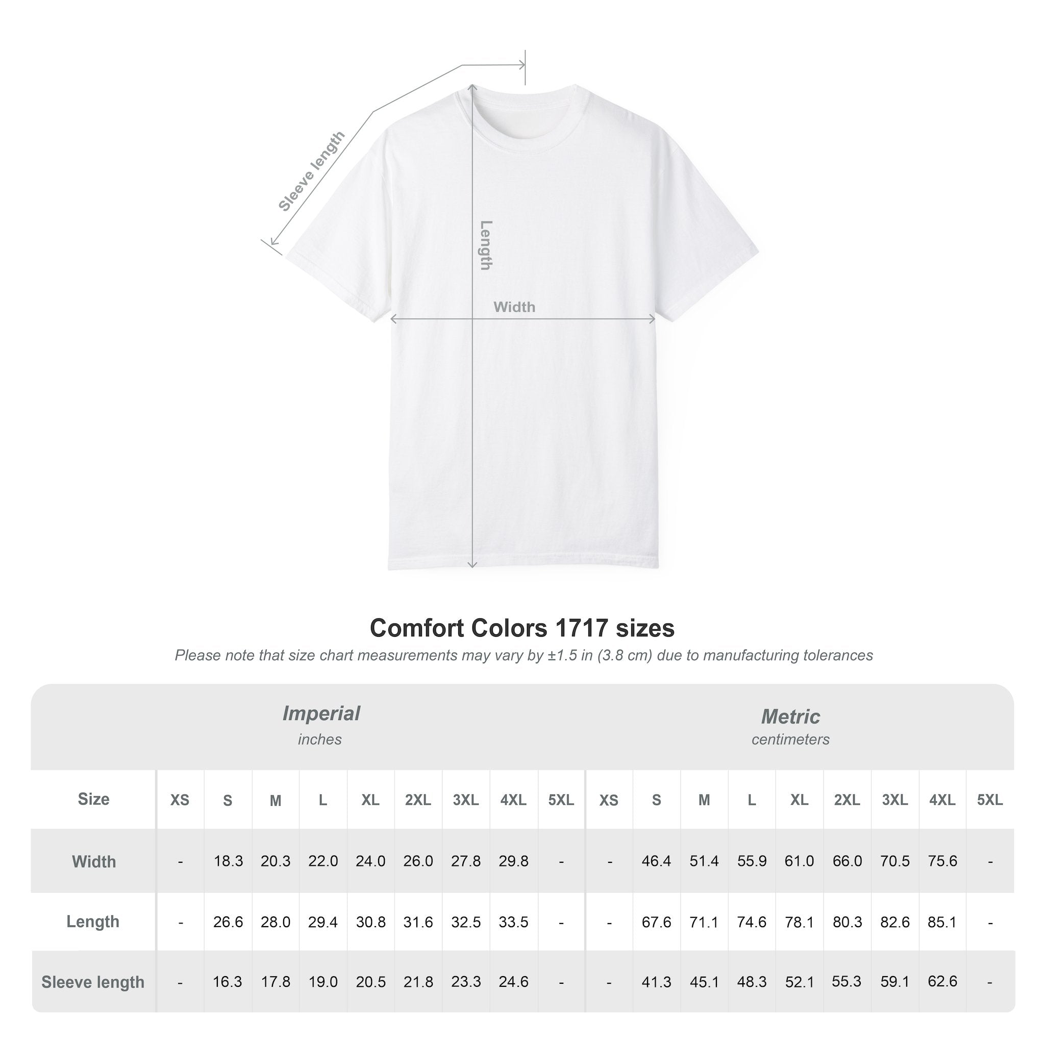 In this Economy?? Statement Comfort Colors Tee