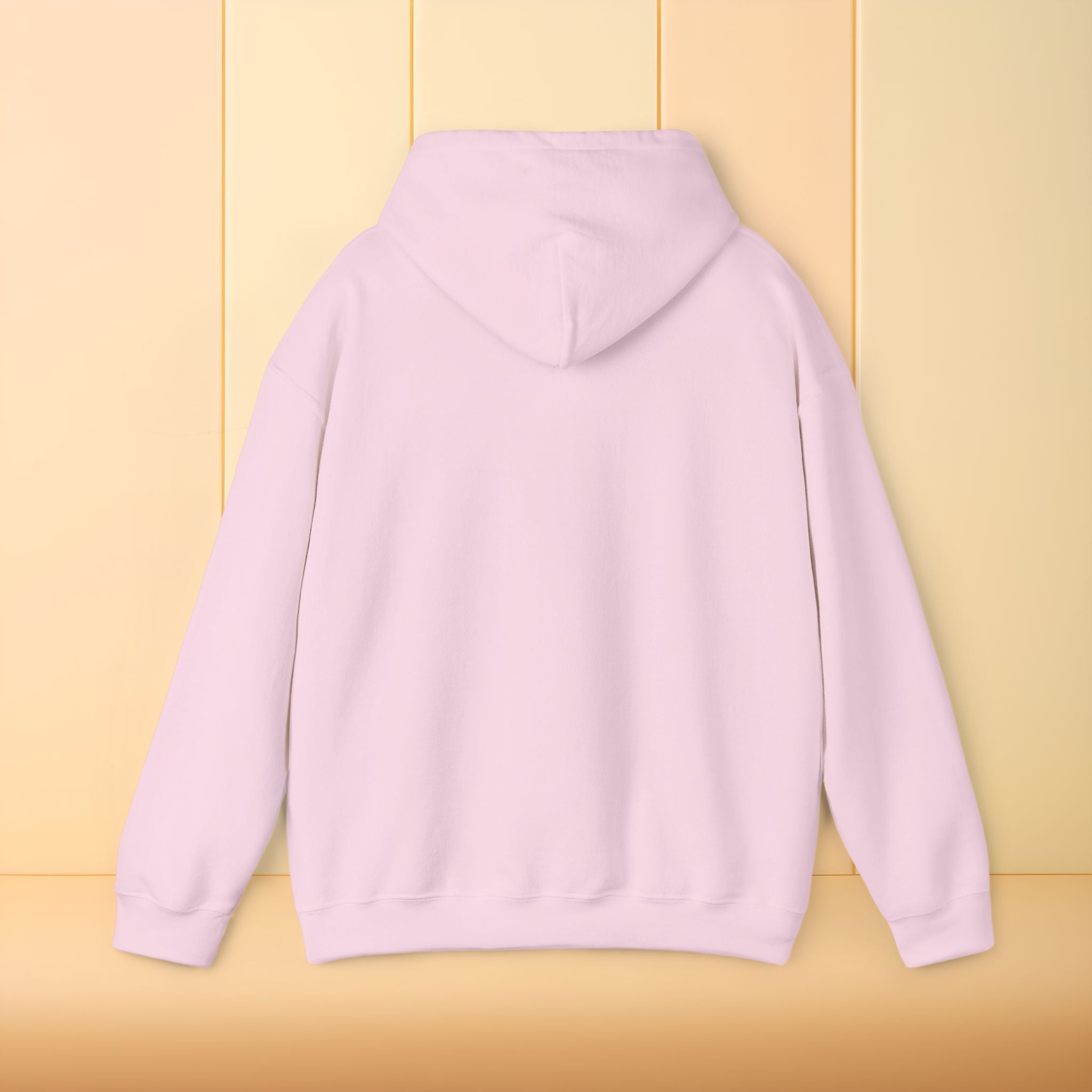 All I brought was Vibes Hoodie