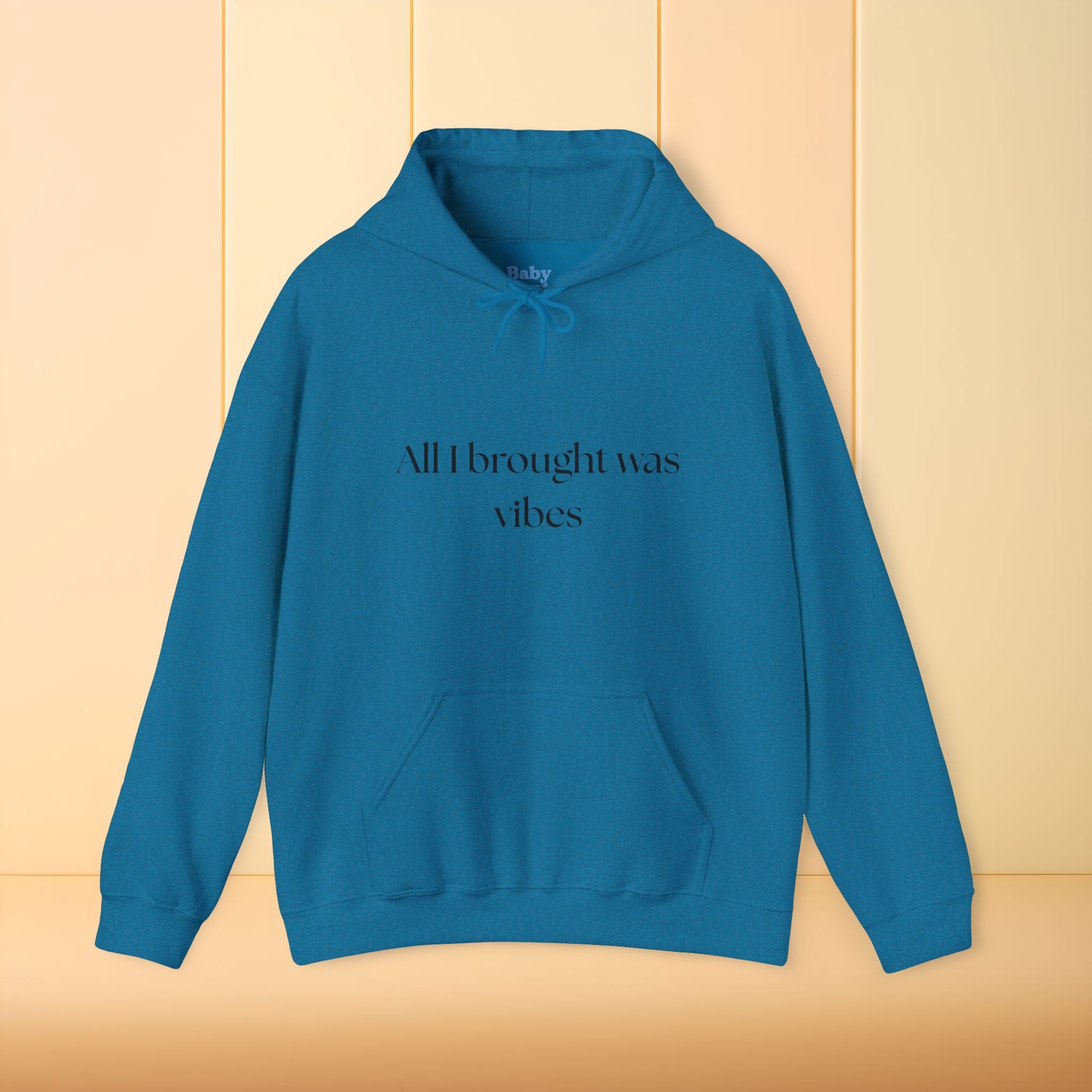 All I brought was Vibes Hoodie
