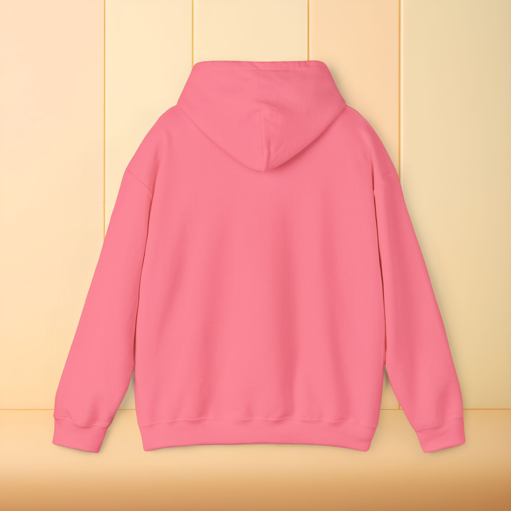 All I brought was Vibes Hoodie