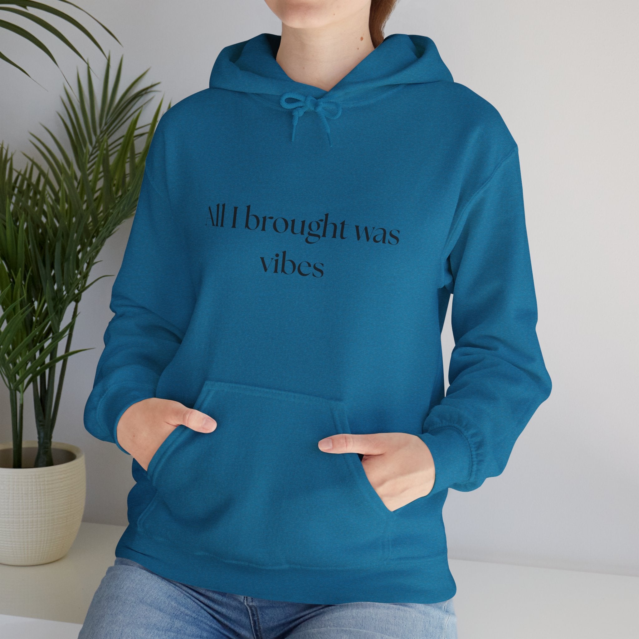 All I brought was Vibes Hoodie