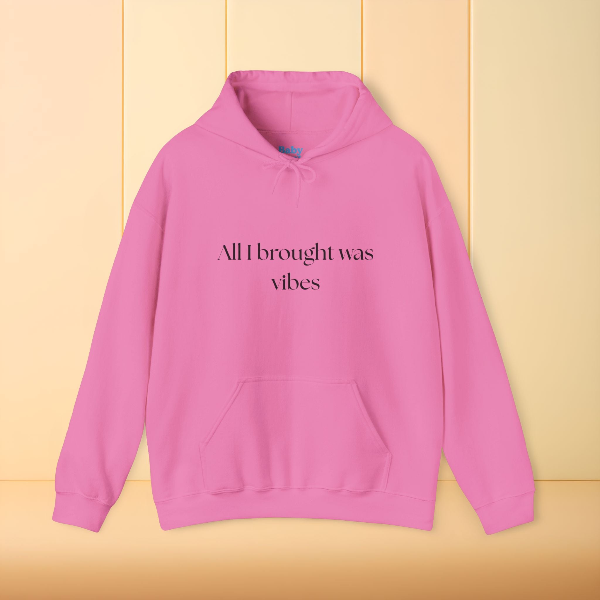 All I brought was Vibes Hoodie