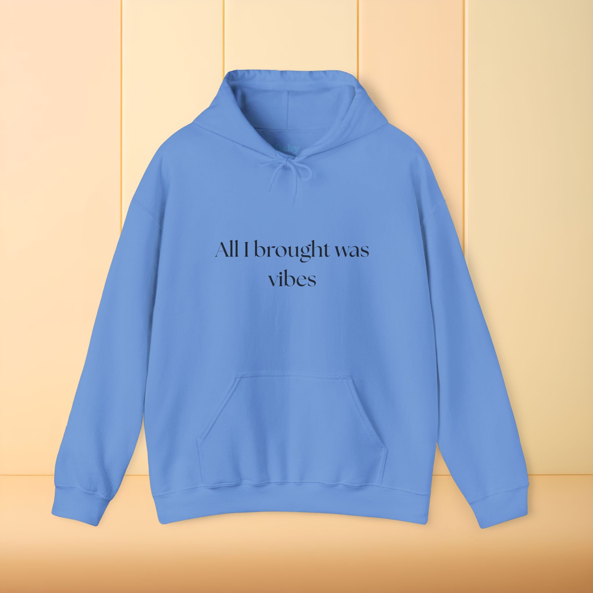 All I brought was Vibes Hoodie