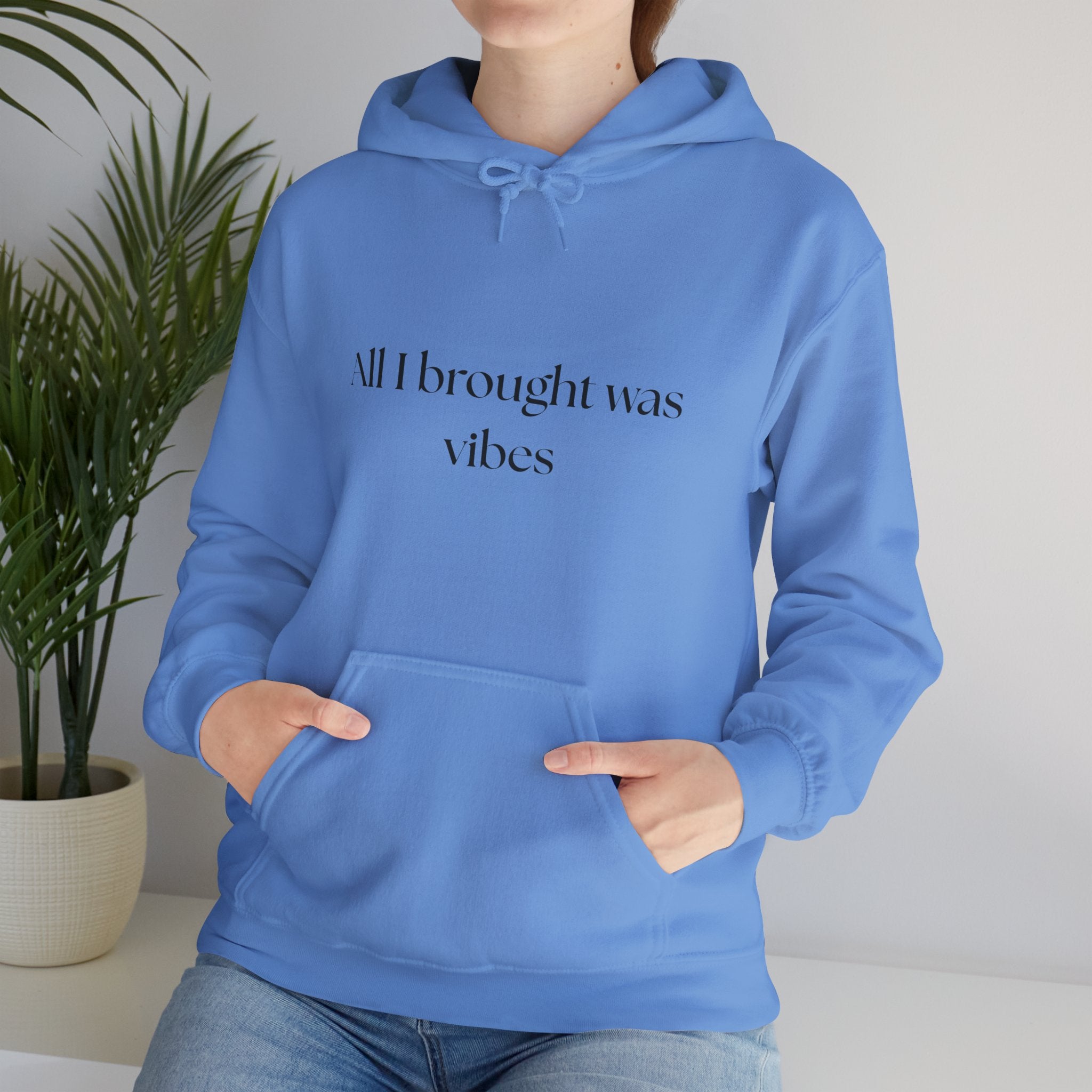 All I brought was Vibes Hoodie