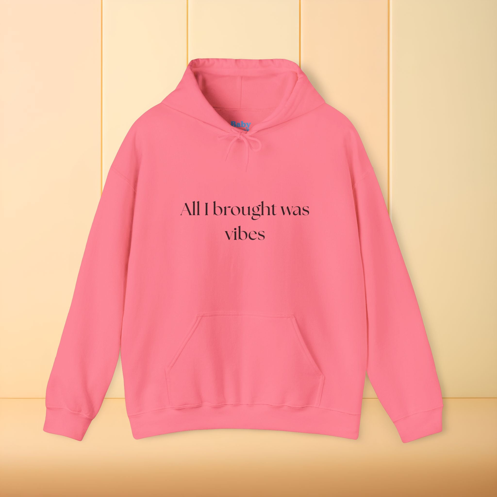 All I brought was Vibes Hoodie