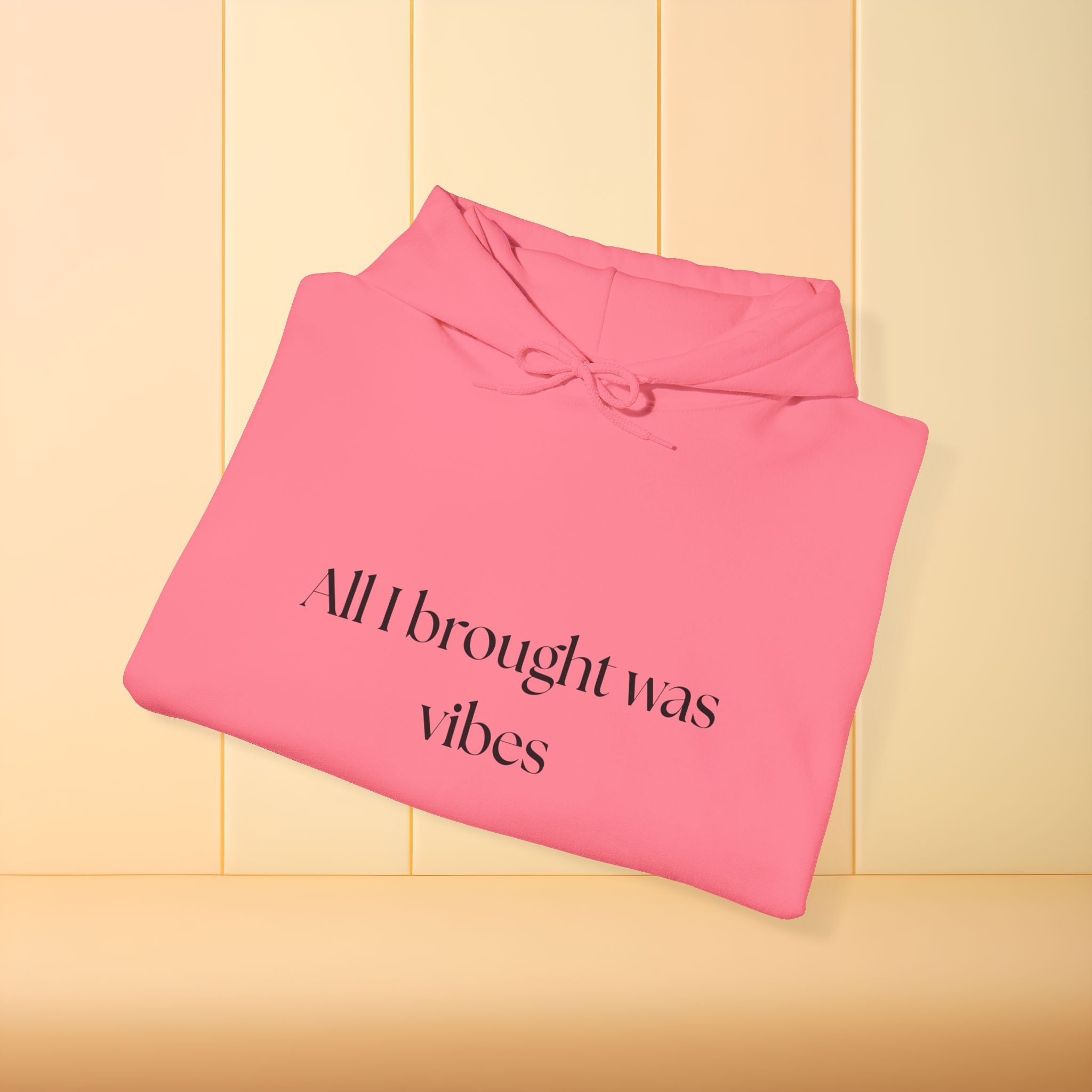 All I brought was Vibes Hoodie
