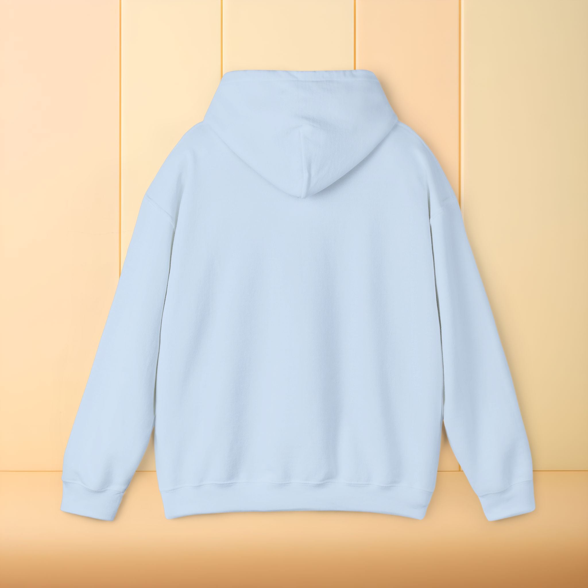 All I brought was Vibes Hoodie