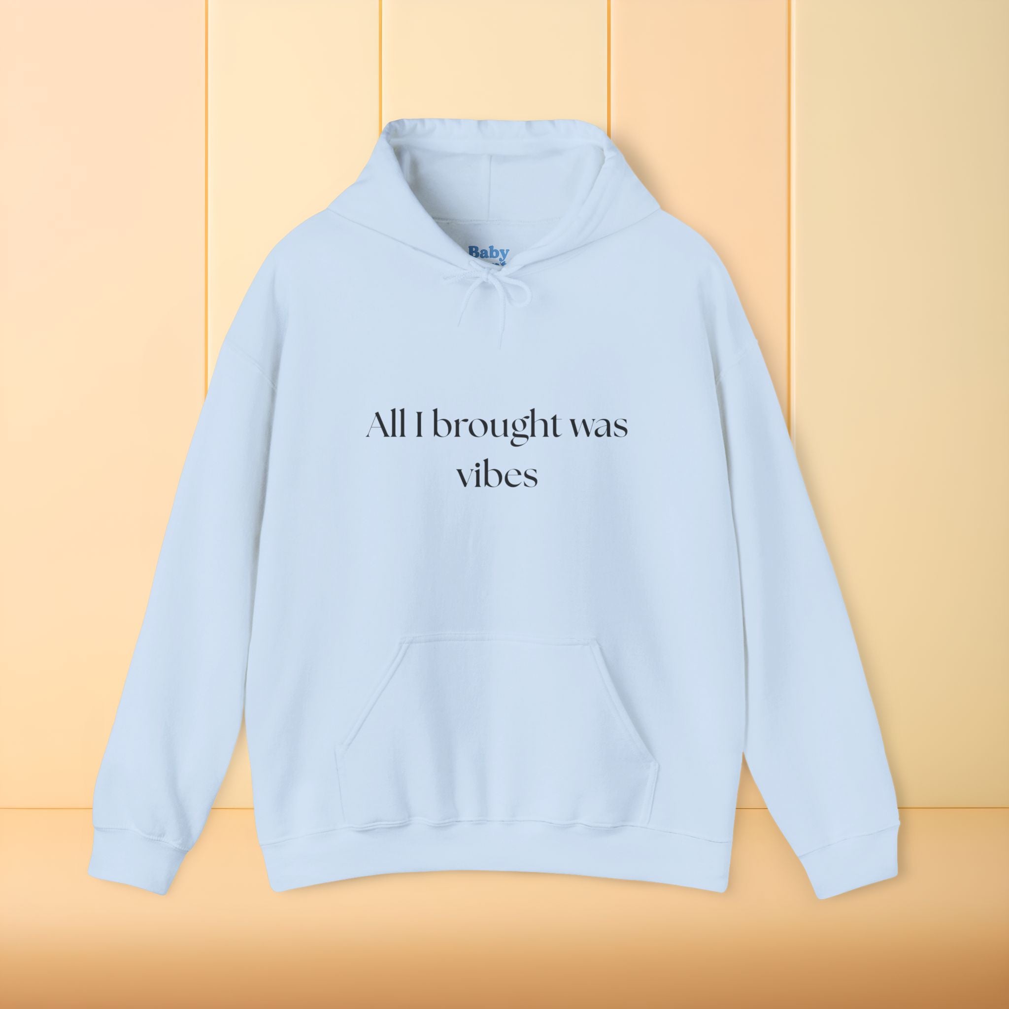 All I brought was Vibes Hoodie