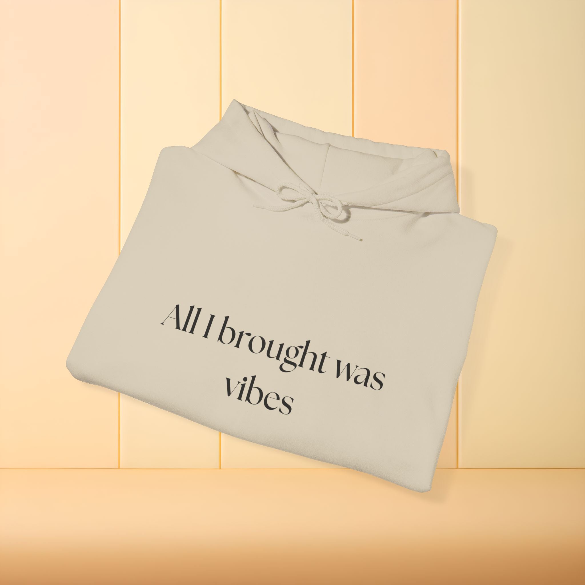 All I brought was Vibes Hoodie