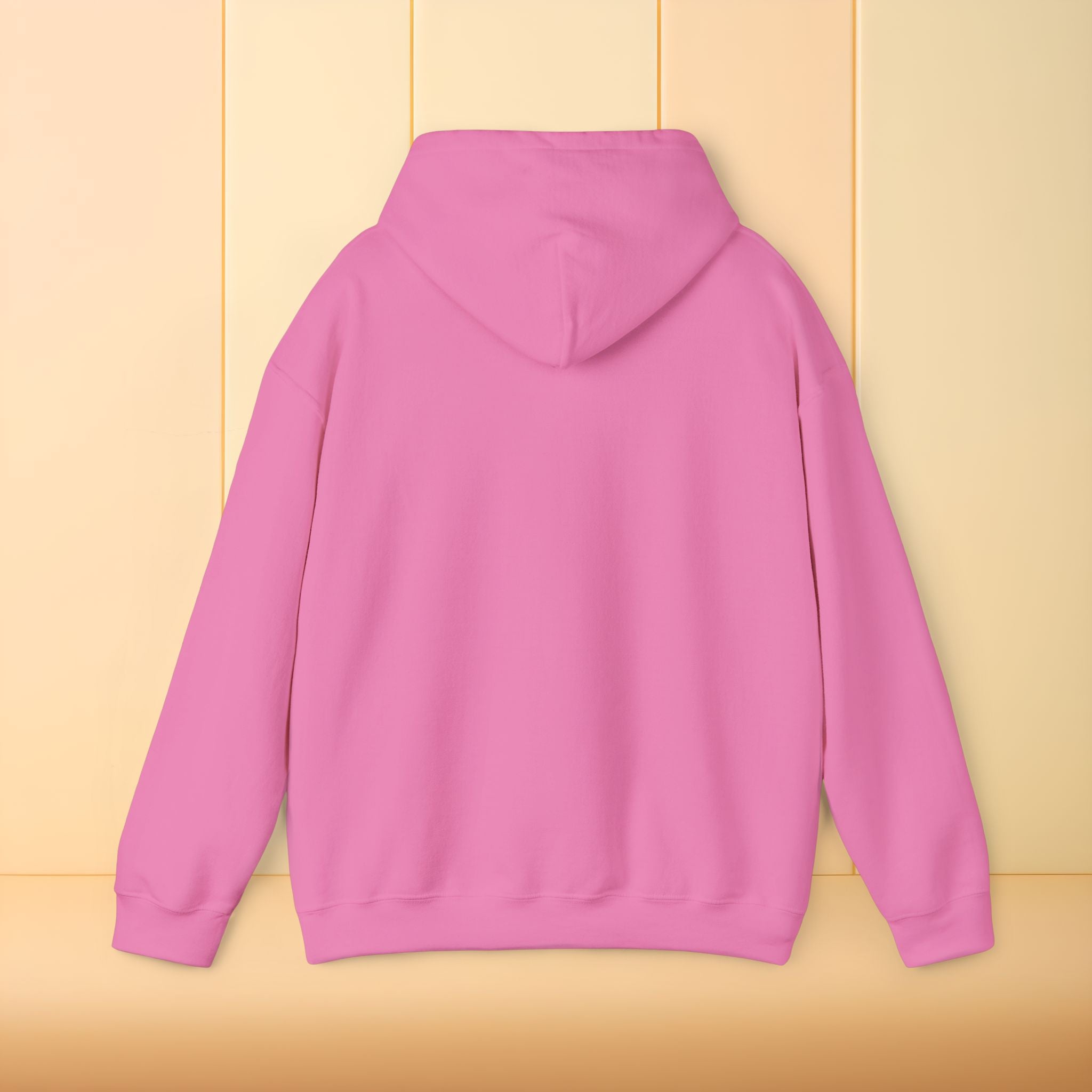 All I brought was Vibes Hoodie